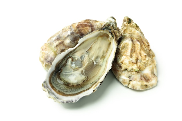 Concept van heerlijke zeevruchten oesters geïsoleerd op een witte achtergrond