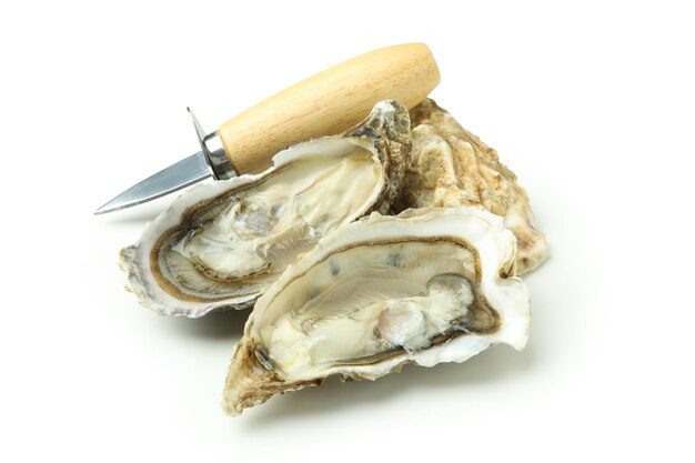 Concept van heerlijke zeevruchten oesters geïsoleerd op een witte achtergrond