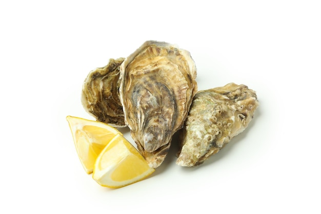 Concept van heerlijke zeevruchten oesters geïsoleerd op een witte achtergrond