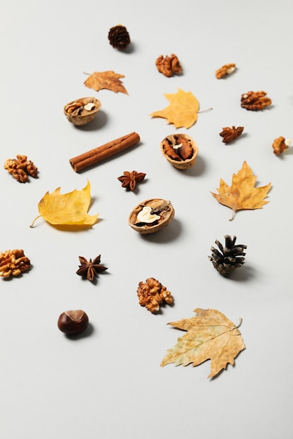 Concept van herfst herfst compositie accessoires op lichte achtergrond