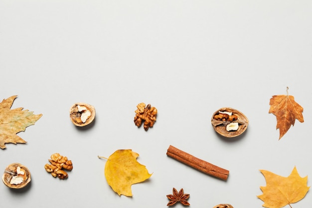 Concept van herfst herfst compositie accessoires ruimte voor tekst