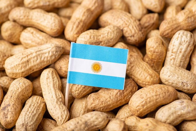 Concept van het kweken van pinda's in Argentinië