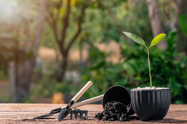 Concept van het planten van een liefdeboom