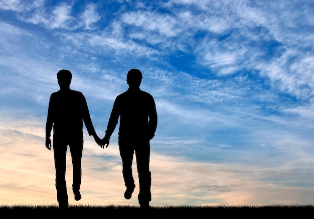 Concept van homoseksuelen. Silhouet gelukkige homomannen lopen hand in hand bij zonsondergang