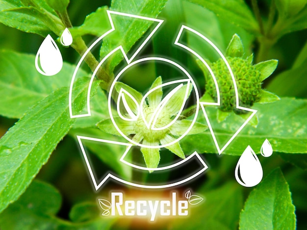 Concept van recycling voor een groene wereld