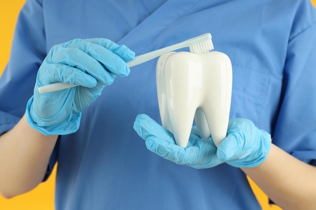 Concept van tandbehandeling en tandheelkundige zorg