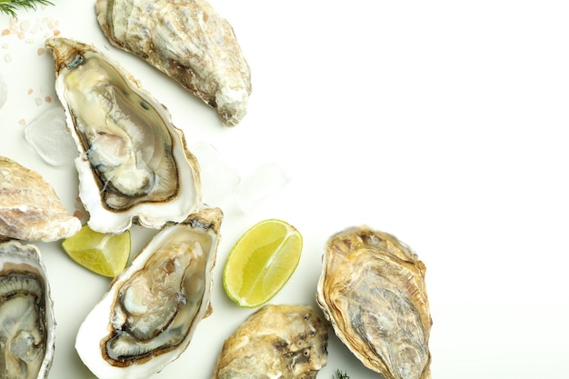 Concept van zeevruchten oesters ruimte voor tekst