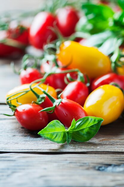 Concept of vegan food with tomato and basil