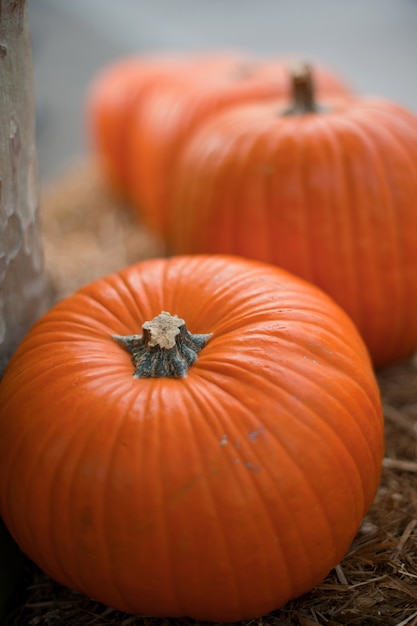 Concept voor herfst traditionele vakantie Halloween