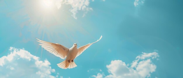 Conceptual background of a dove flying on a blue sky