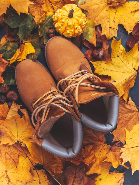 Photo conceptual image of beige boots on the autumn colorful leaves feet modern shoes