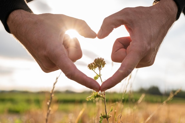 conceptual image of nature conservation