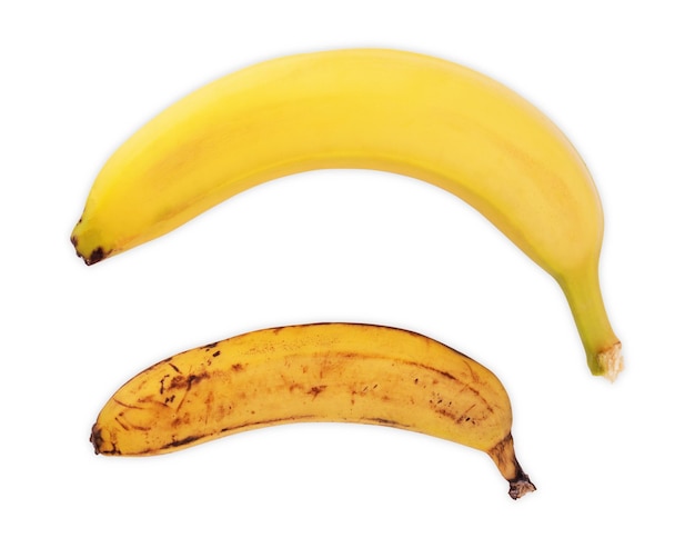 다른 단계를 보여주는 반 익은 바나나 무리의 개념적 이미지
