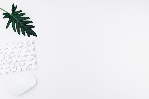 Photo conceptual office table or office desk. there are white computer keyboard, white mouse and green monstera leaf