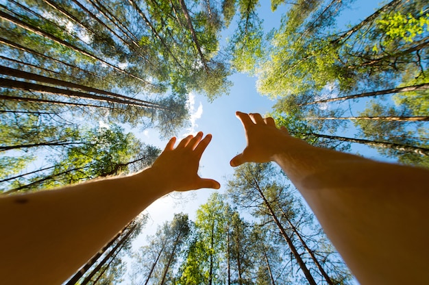 Photo conceptual photgraphy. male hands reaching up sky.  unknown man begging heaven. hope and faith idea. foto from below.