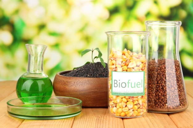 Conceptual photo of bio fuel On bright background