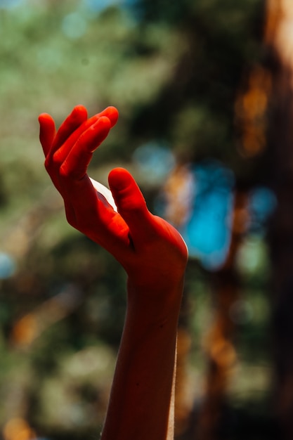 Conceptual photo, elegant female hand in red light. Background of forest