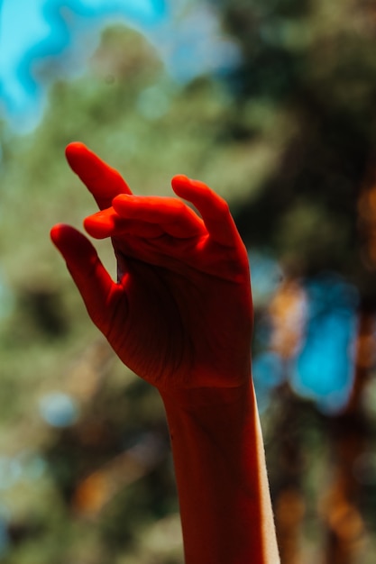 Conceptual photo, elegant female hand in red light. Background of forest