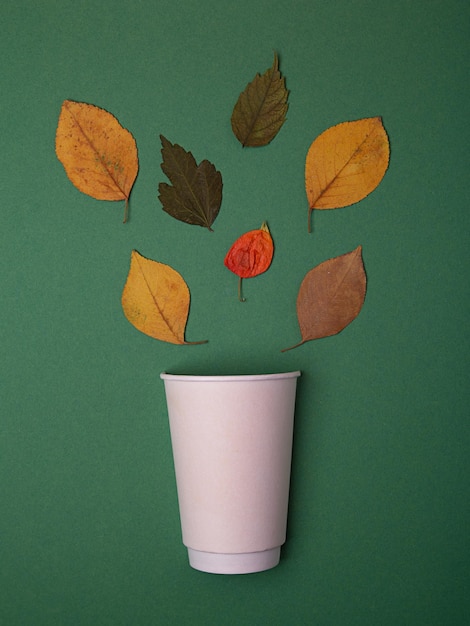 Conceptual photography from paper cup and dry leafslooks like steamAutumn concept