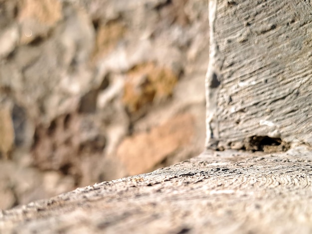 A concrete background is the perfect way to add a touch of class to your home