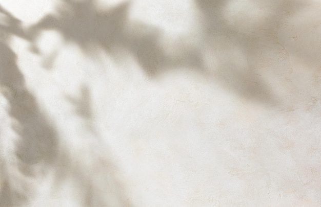 concrete background texture with tropical leaves