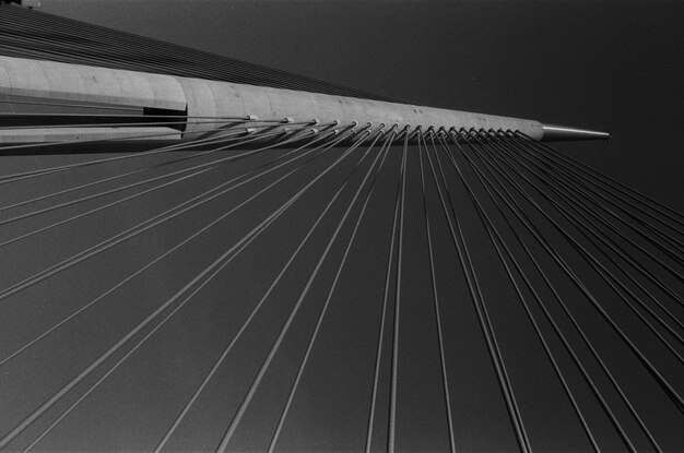 Photo concrete bridge column