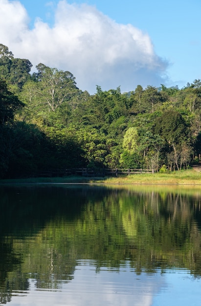 The concrete bridge is crossing the clear lake with the reflection in the nature trail of the national park, located near the small reservoir in the valley, front view with the copy space.