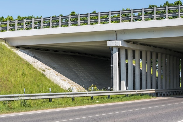 Concrete columns like pillars of an automobile bridge