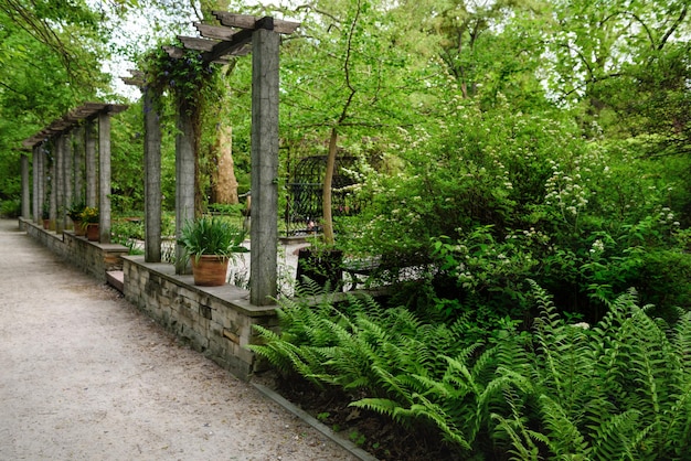 Concrete columns with wooden beams to support creeping plants