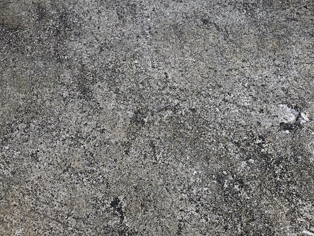 콘크리트 바닥 흰색 더러운 오래 된 시멘트 질감