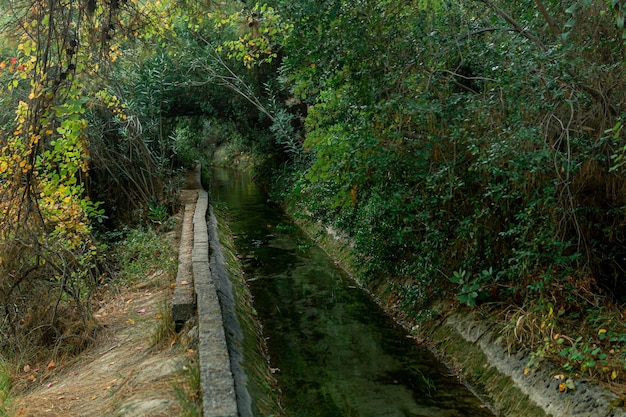 Concrete irrigation canal among vegetation in a mountainous area