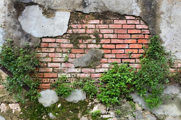 Concrete oude muur met gebroken bakstenen planten vlekken en scheuren textuur