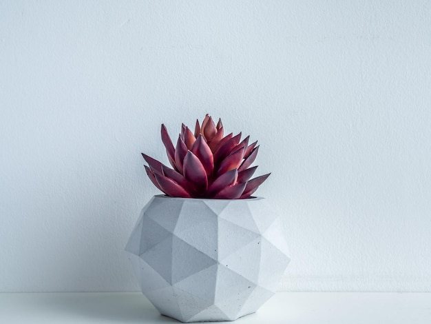 Concrete pot Modern geometric concrete planter