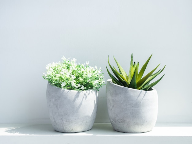 Concrete pots. Modern geometric cement planters with white flowers and green succulent plant on white