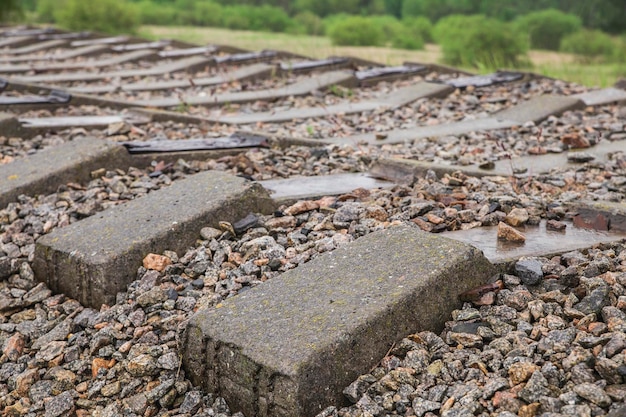 放棄された解体された鉄道のクローズ アップのコンクリート枕木