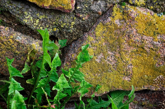 Struttura concreta e paesaggio della città