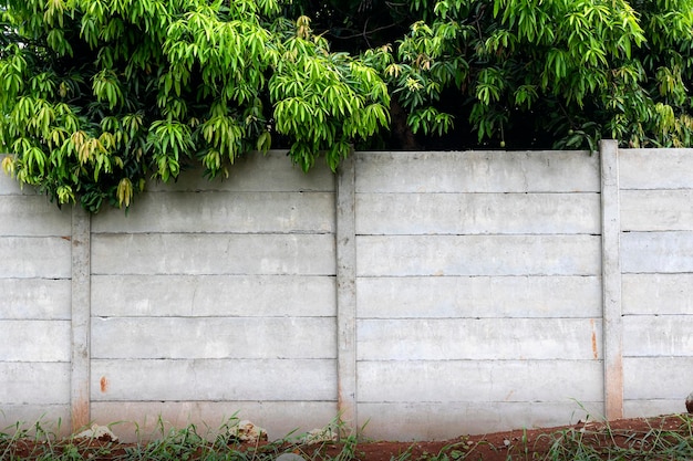 Foto blocco di parete di cemento con alberi sul campo
