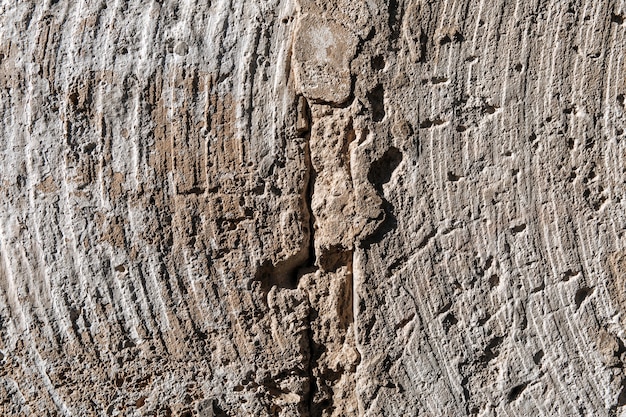 La struttura del muro di cemento può essere utilizzata come sfondo astratto