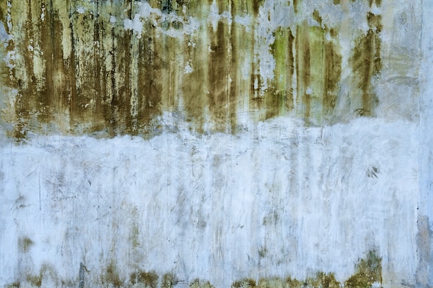 Concrete wall texture with green mold stains