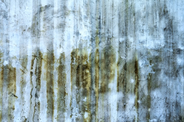 Struttura del muro di cemento con macchie di muffa verde
