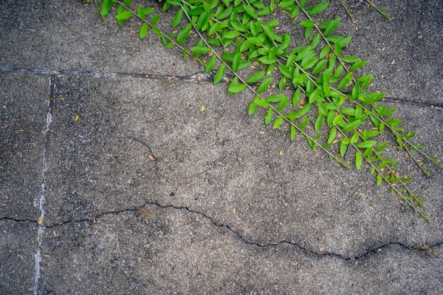 Concrete wall texture