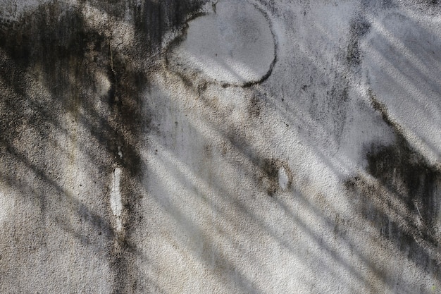 Concrete walls outside the building where black mold occurs