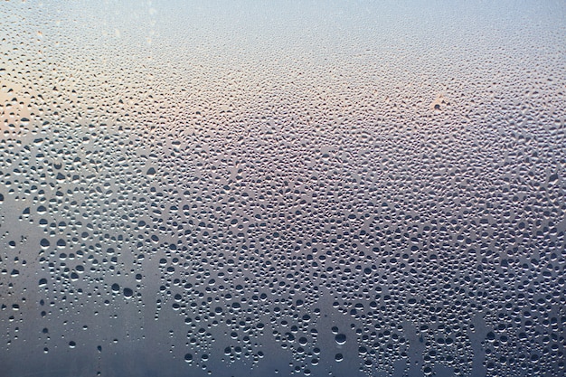 Condensation drops on glass