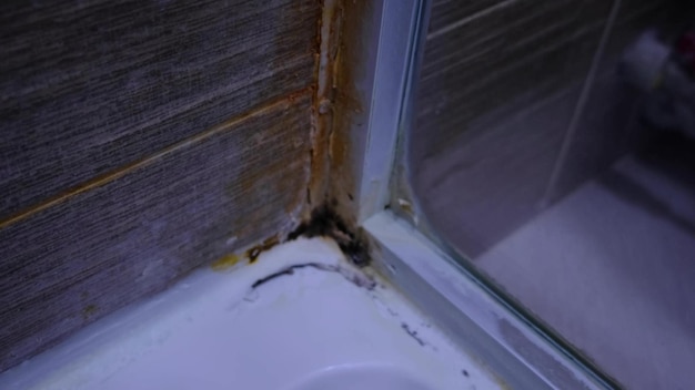 Condensation on walls ceilings Footage of bathroom with high humidity moisture or water damage Toxic black mold and fungus