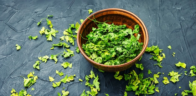 Condiment or spice made from dried green parsley.