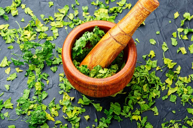 Condiment or spice made from dried green parsley.