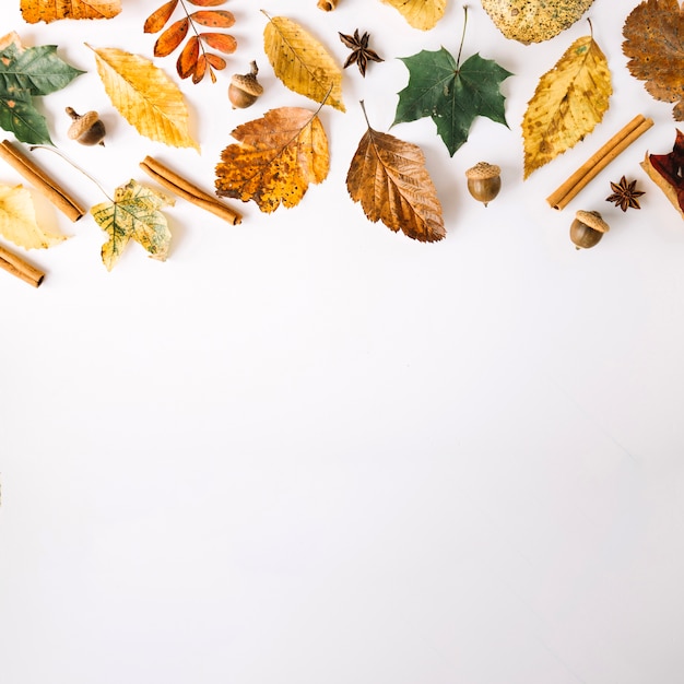 Photo condiments and leaves in arrangement