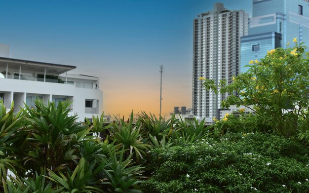 Condos and tall buildings in the city