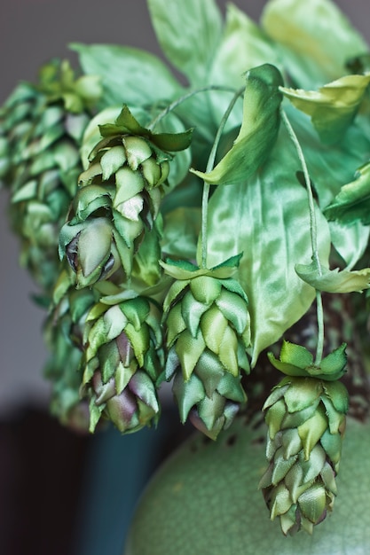 사진 녹색 홉의 원뿔. 내부에 인공 실크 꽃