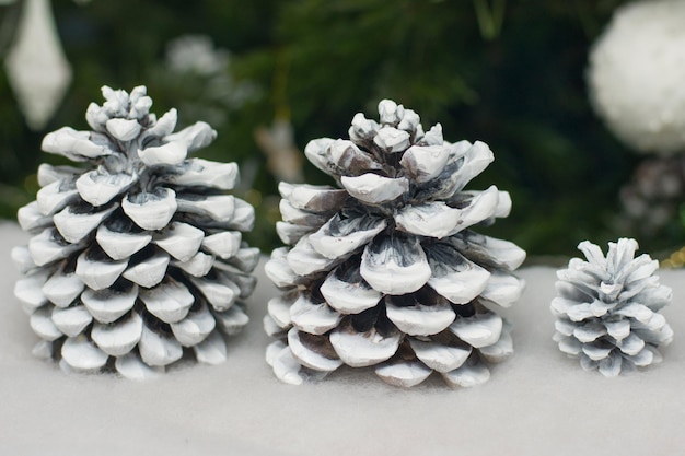 Coni nella neve sullo sfondo di un albero di natale